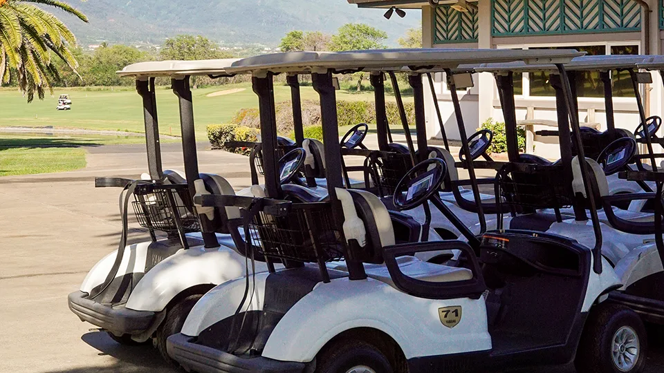 Maui Senior Activities