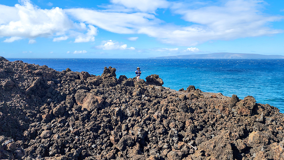 Best Maui Beach La Perouse Bay