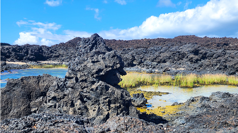 Best Maui Beach La Perouse Bay