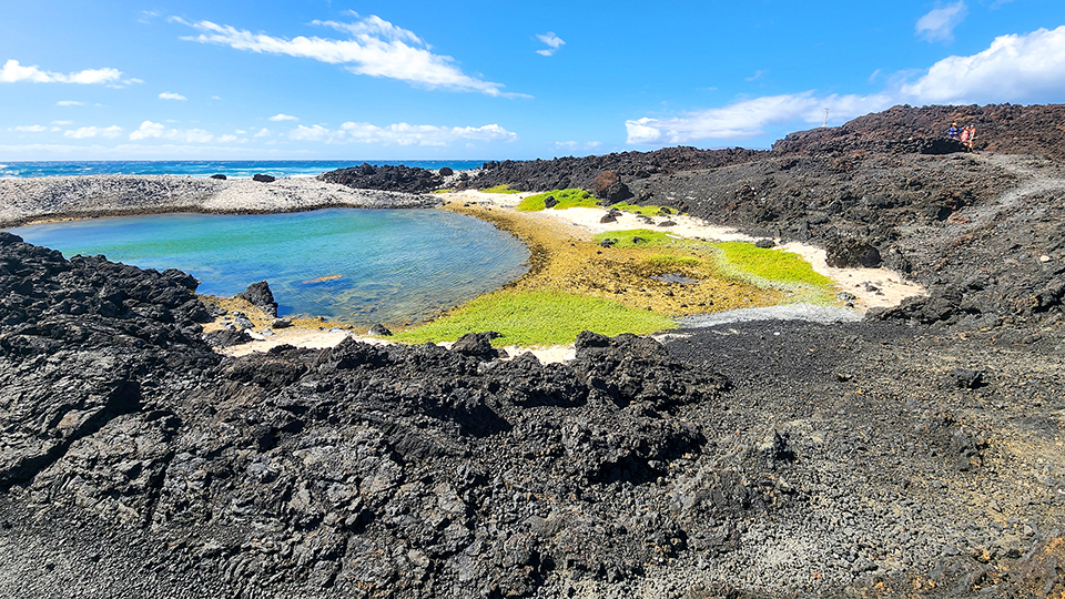 Best Maui Beach La Perouse Bay