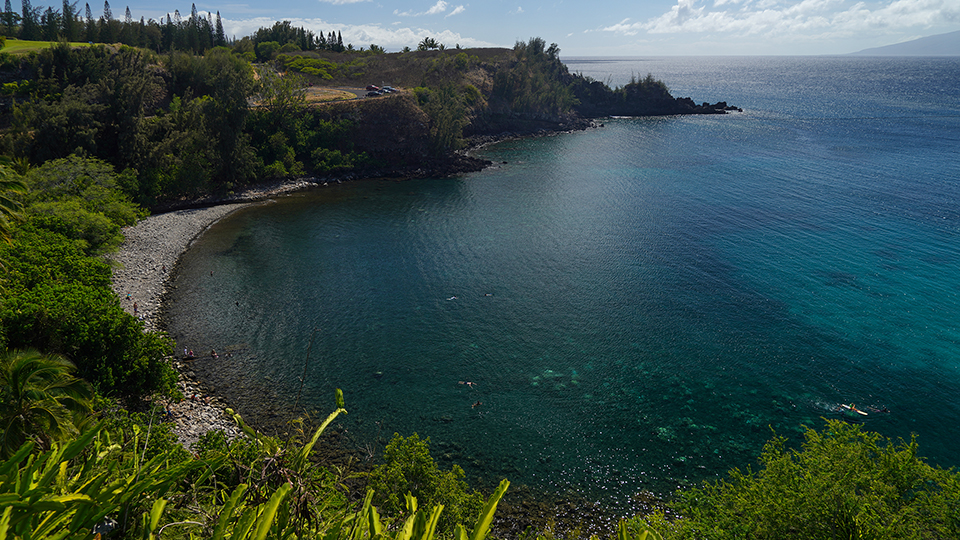 Best Maui Beach Honolua Bay