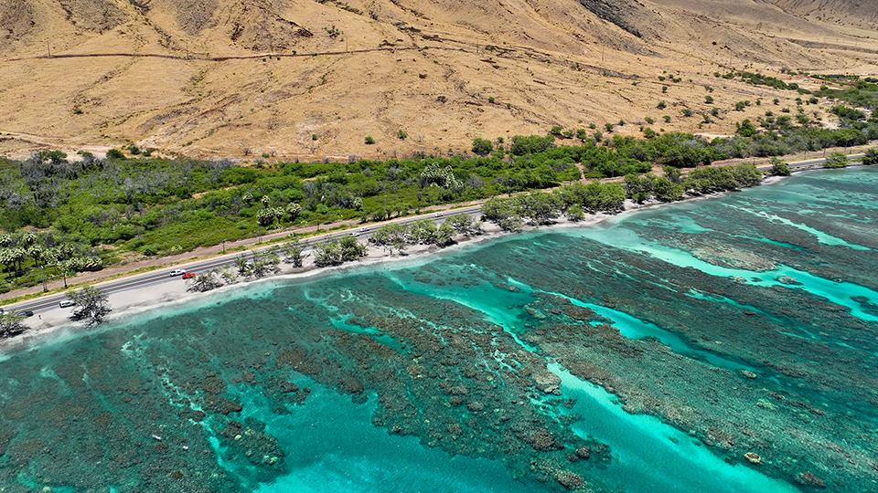 Best Maui Beach Olowalu