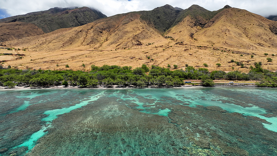 Best Maui Beach Olowalu