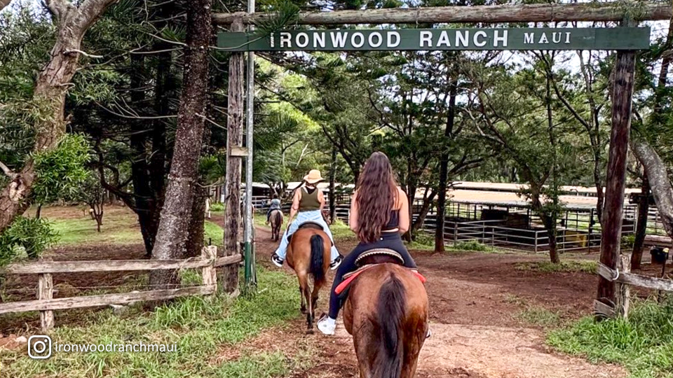 Napili Kapalua Activities Horseback Tour at Ironwood Ranch