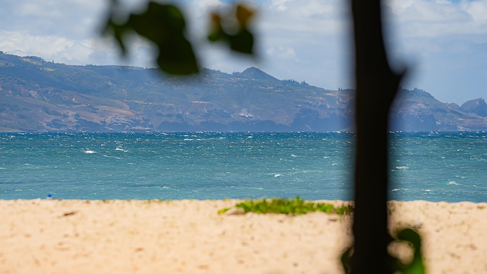 Best Maui Beach Kanaha Beach Park