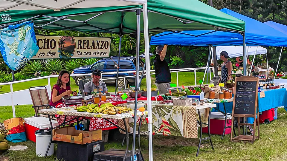 Maui Best All Organic Wednesday Market