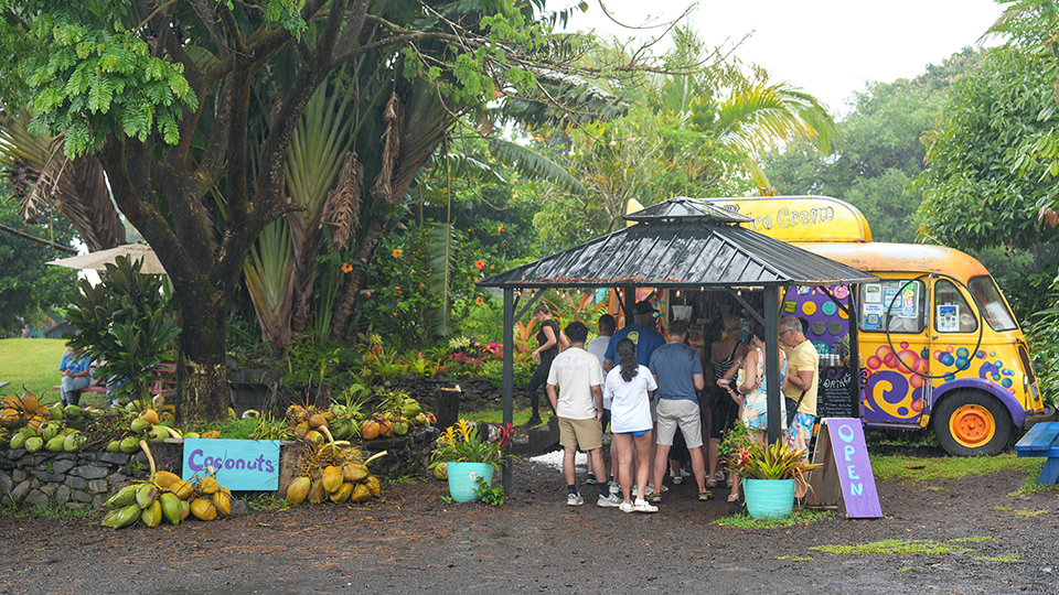 Best Road to Hana Stops Coconut Glen's Ice Cream
