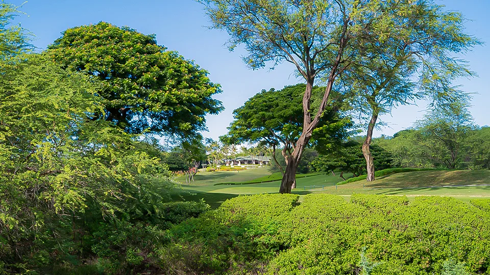 Gold Course at Wailea Golf Club