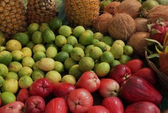 Hawaii Top Organic Sources