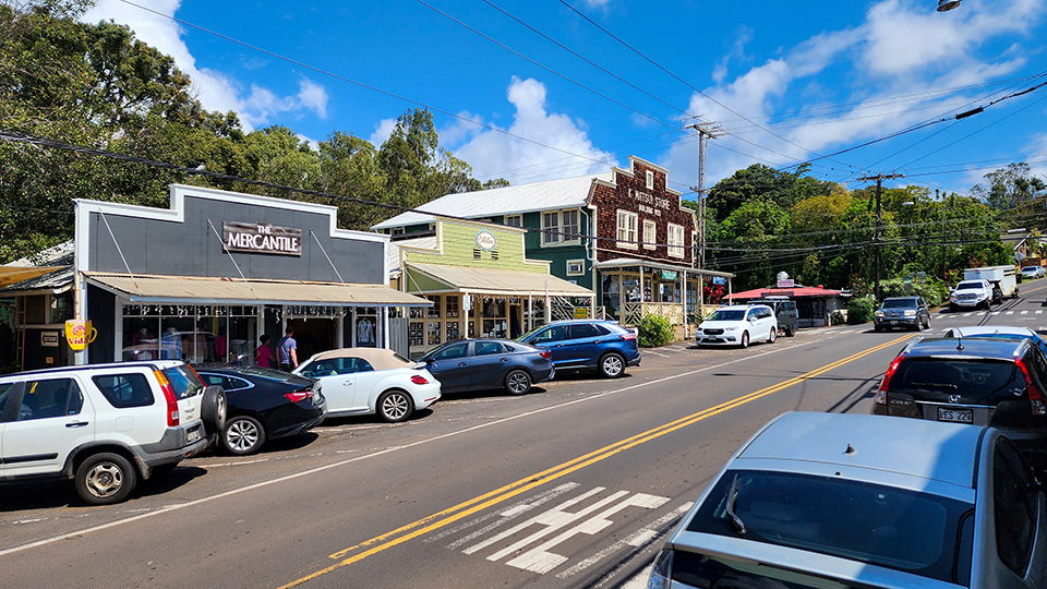 Best Maui Souvenirs Makawao