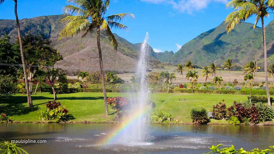 Best Things to Do in Waikapu Maui Zipline