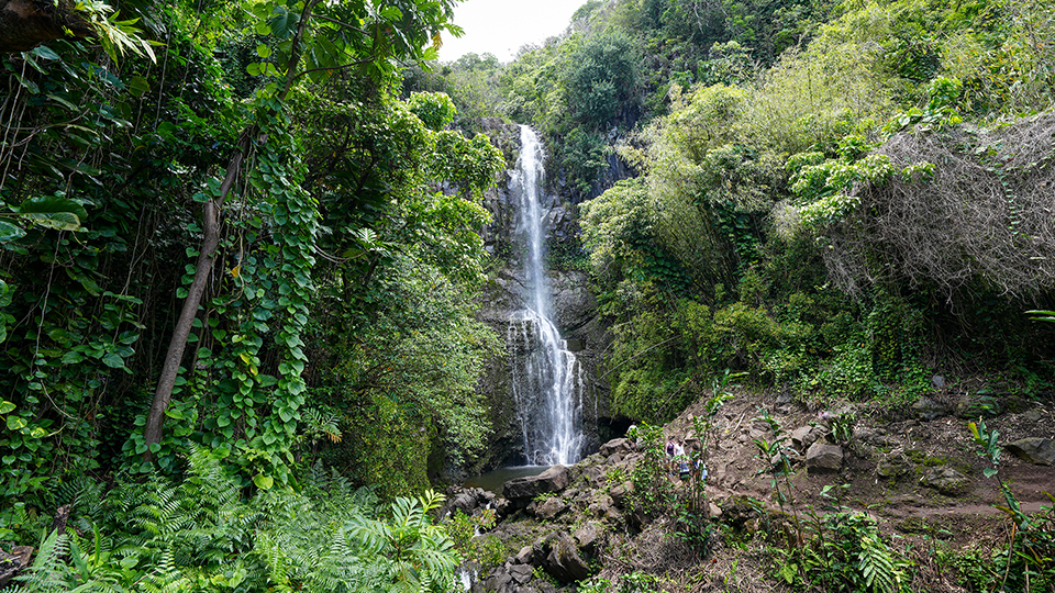 Best Road to Hana Stops in Maui Pipiwai Trail
