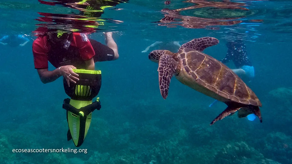 Best West Maui Activities Sea Scooter Snorkeling