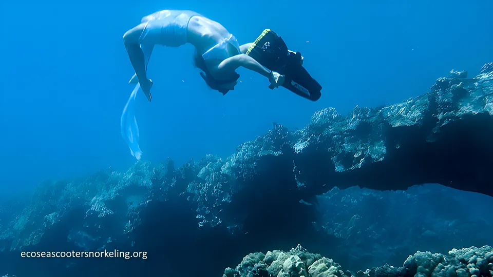 Best West Maui Activities Sea Scooter Snorkeling