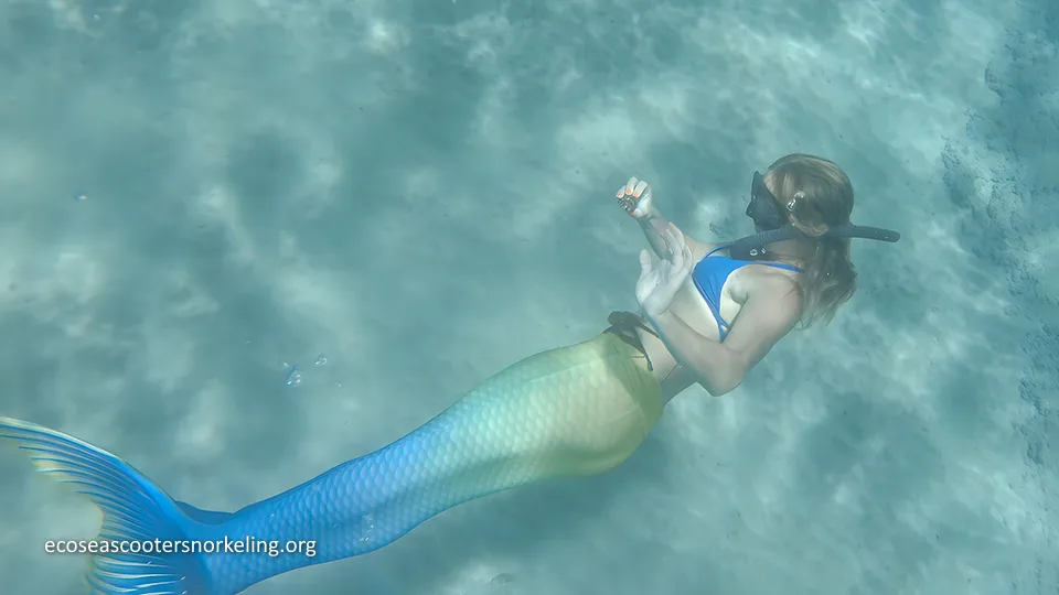 Best West Maui Activities Sea Scooter Snorkeling