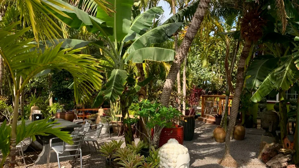 Best Hawaii Wedding Locations South Maui Gardens