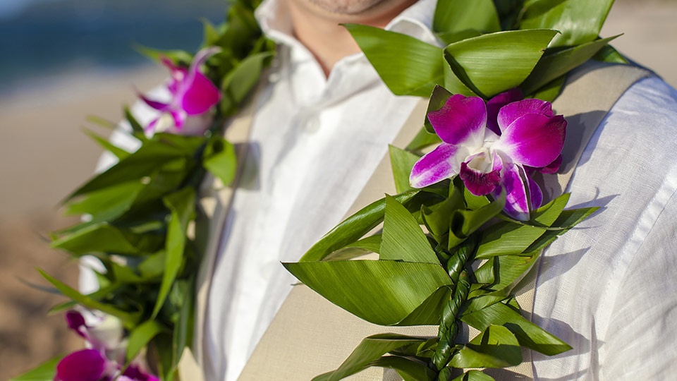 Waimea Valley Top Hawaii Wedding Location