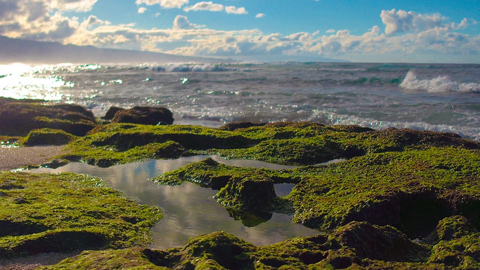 Ho’okipa Beach Park Best Road Hana