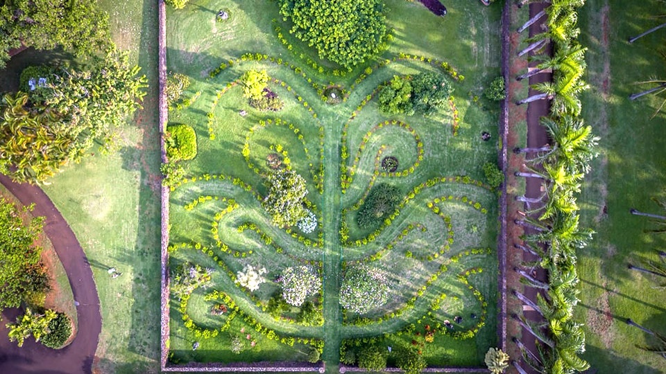 Botanical Gardens Wedding Location Kauai