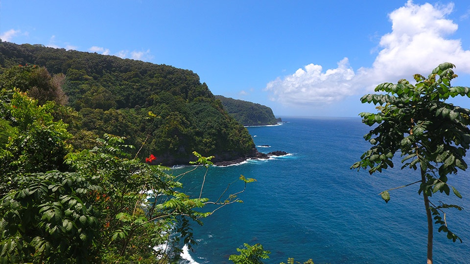 Best Maui Activities Hana Road