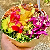 Best Maui Rainbow Kitchen Rebel Tonics