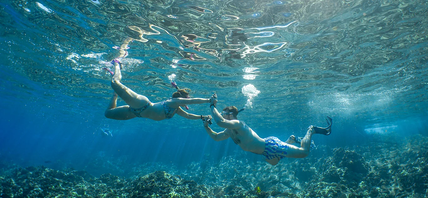 Best Snorkeling on Maui After Whale Season