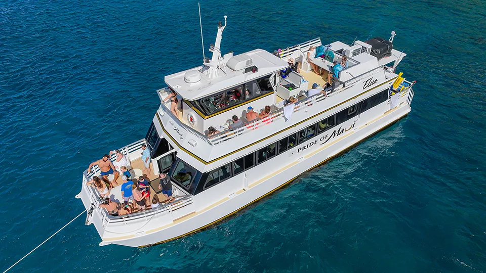 Pride of Maui 'Elua Sailing