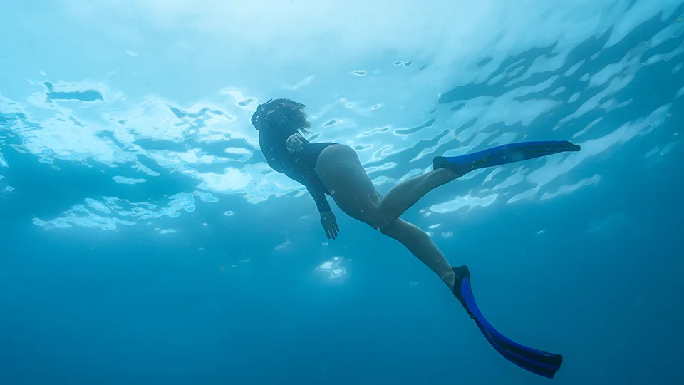 Snorkeler Swimming Towards the Water's Surface