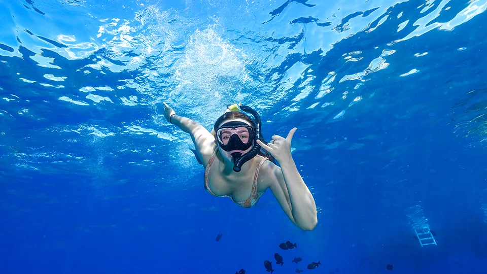 Guest Snorkeling Underwater