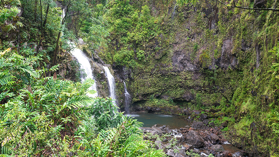 Top 10 Waterfalls on Maui Upper Waikani Falls