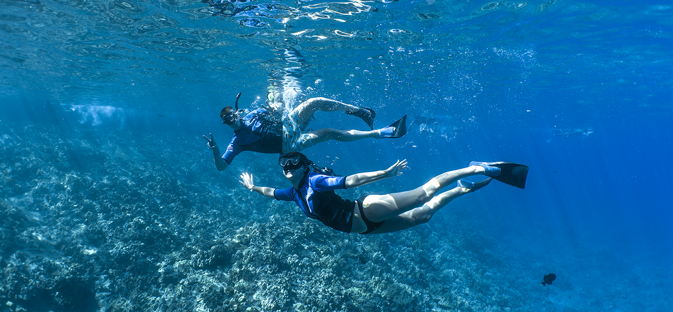 Two snorkelers glide above a vibrant Maui coral reef in clear blue water, symbolizing respectful connection to Kanaloa, the Hawaiian god of the ocean.