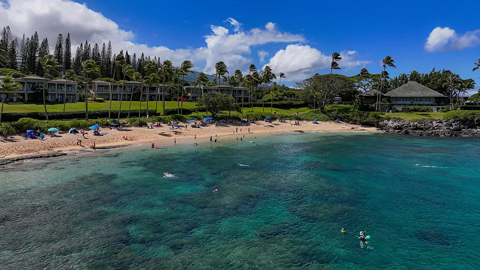 Scenic view of Kapalua Bay with golden sand, turquoise water, and clear skies surrounded by trees.