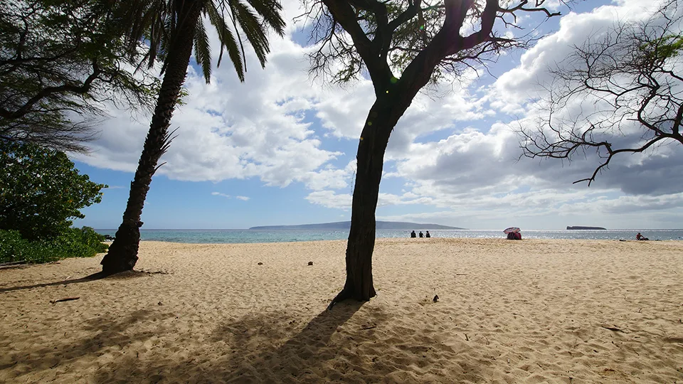 Single palm tree casting shade on the wide sands of Big Beach, Mākena, under a partly cloudy sky.