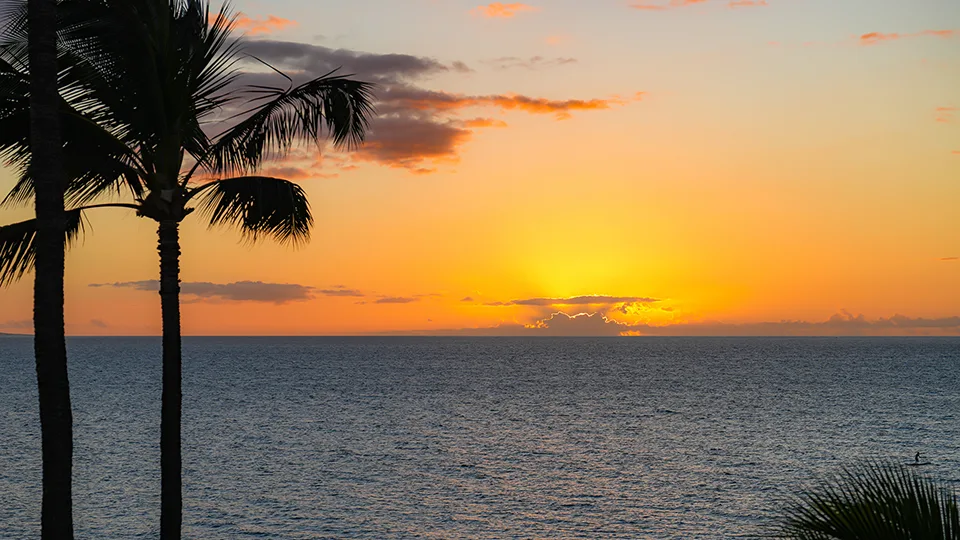 Sunset at Kāʻanapali Beach with silhouetted palm trees against an orange sky.