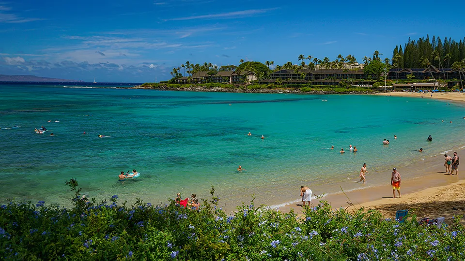Overlook of Napili Bay with swimmers and bright blue water beneath palm trees.