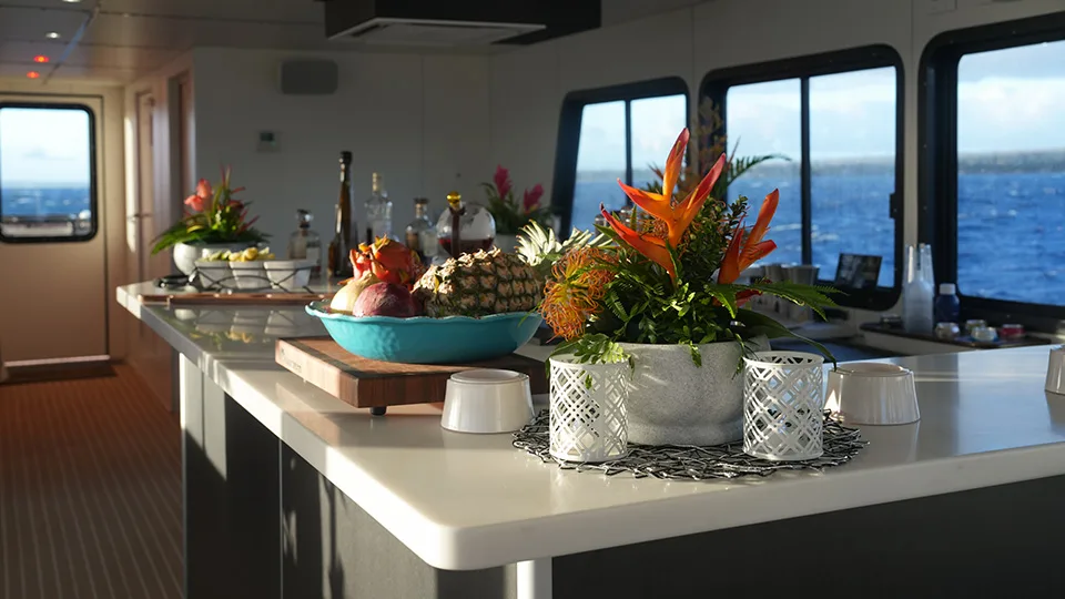 Spacious and bright interior lounge area aboard the Pride of Maui ʻElua with large windows and comfortable seating.