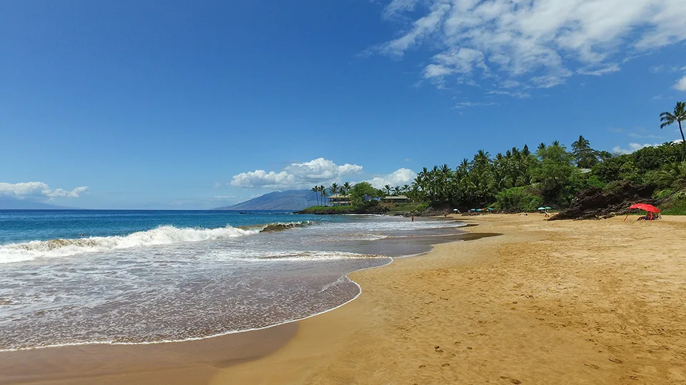 Tranquil shoreline at Secret Beach with soft waves washing over golden sand under blue skies.