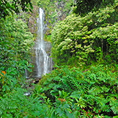 Waimea Valley