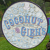 Best Road to Hana Stops in Maui Coconut Glen's Ice Cream