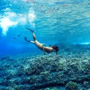 Snorkeler gliding over clear water and reef at Molokini.