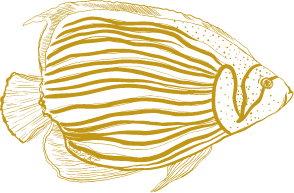 Gold Tropical Fish Illustration