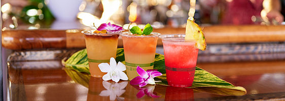 Cocktails on a Pride of Maui Whale Watch Tour