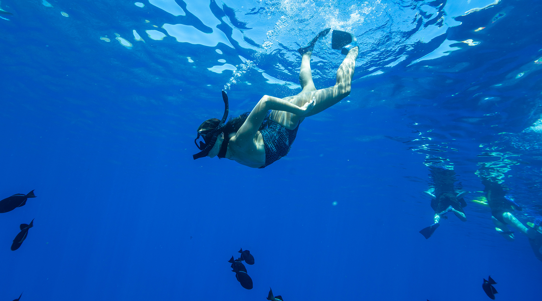 Snorkeler in clear blue water at Molokini with reef fish below
