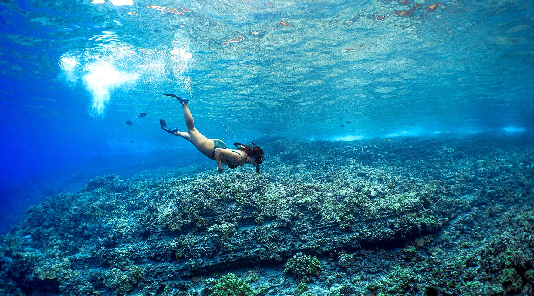 Snorkeler gliding over clear water and reef at Molokini.